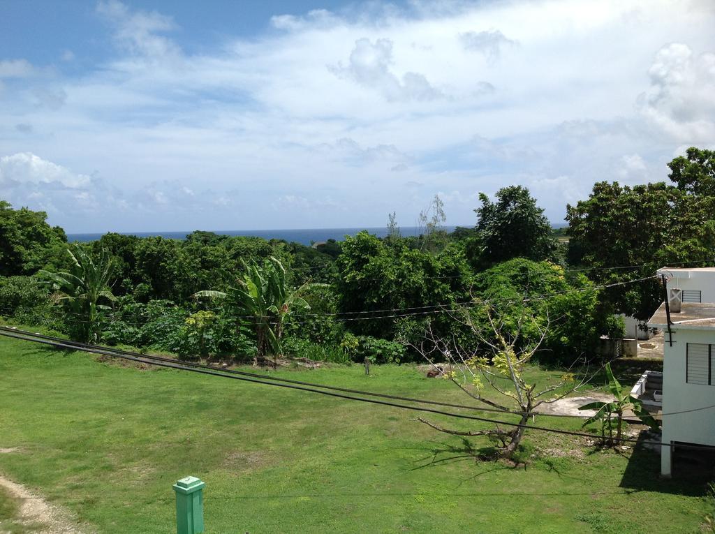 Gasthaus Chillax On Our Farm Ocho Rios Exterior foto