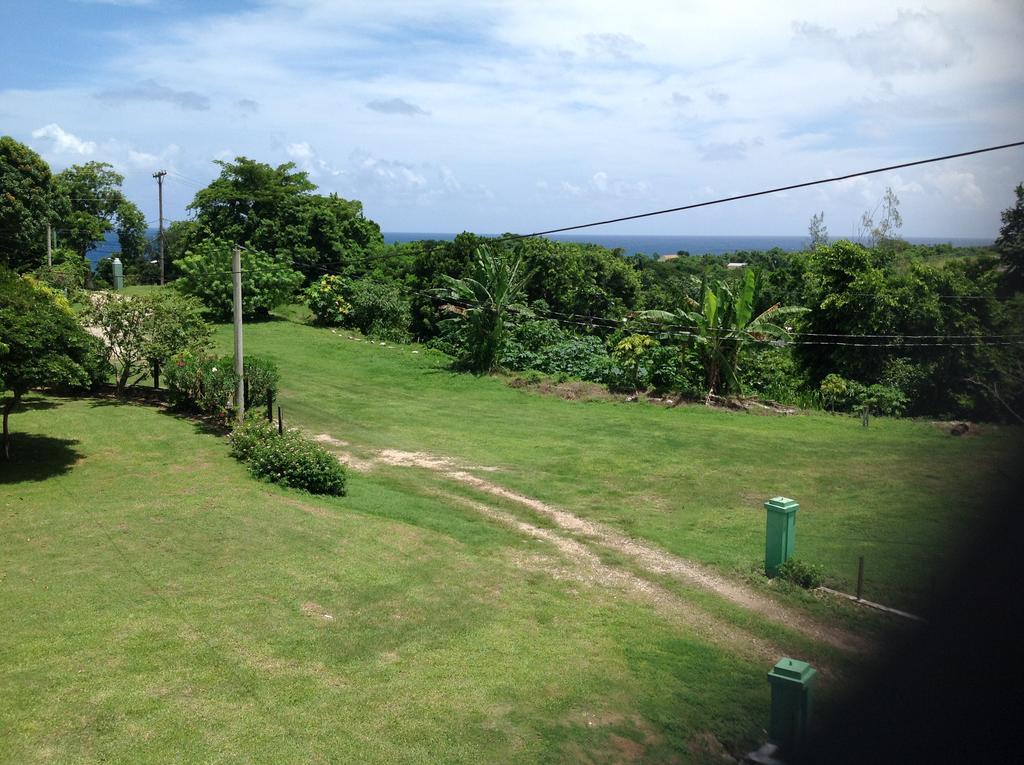 Gasthaus Chillax On Our Farm Ocho Rios Exterior foto